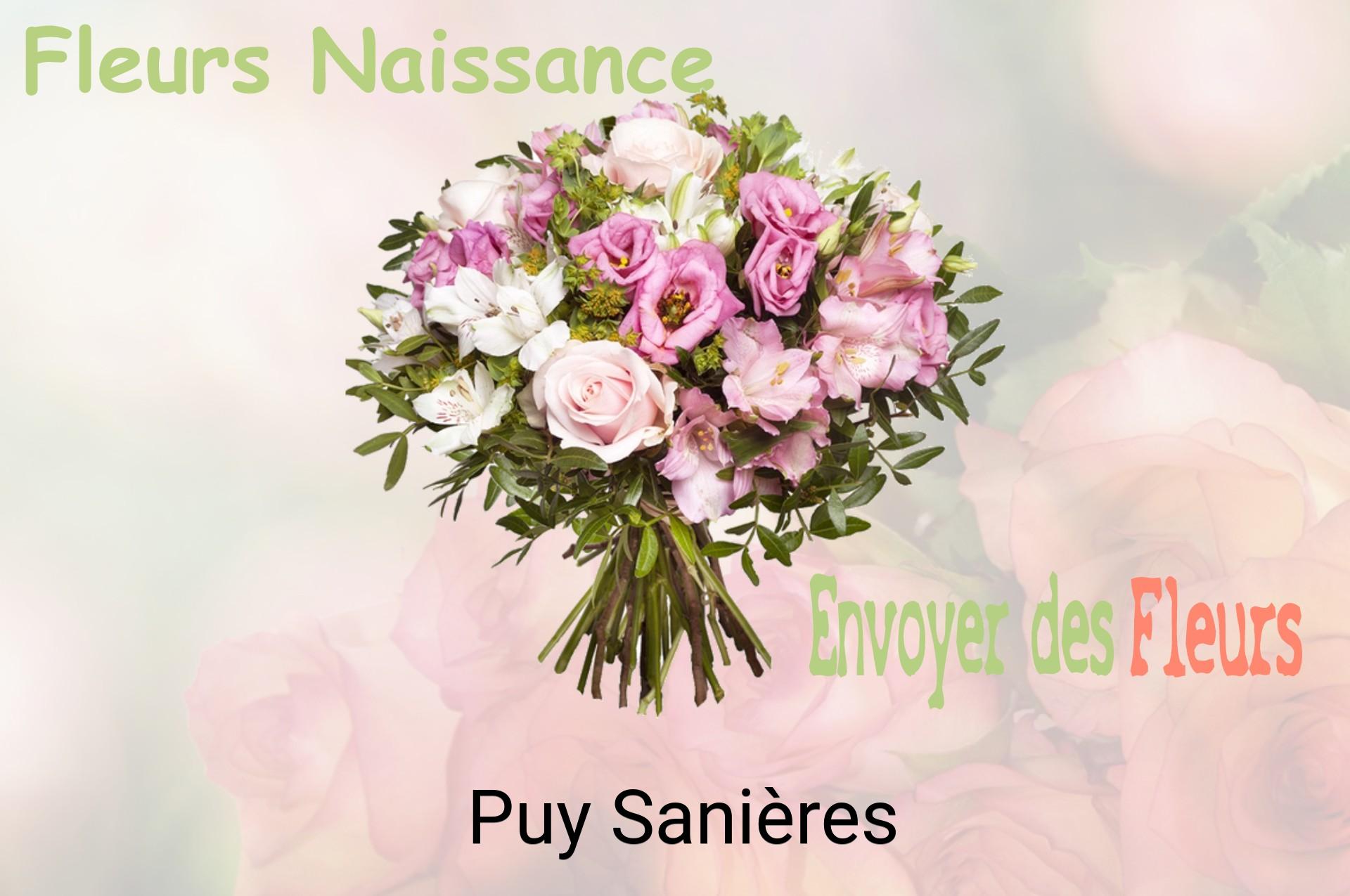 Bouquet de fleurs de naissance livré à Puy-Sanières